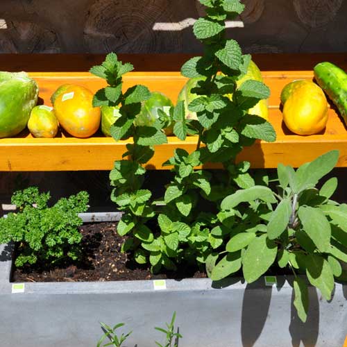 DE KUERBUTTEK - Epicerie solidaire à Pétange - Fruits et légumes bio